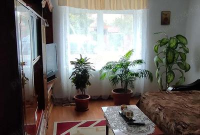 Casă cu 3 camere în Mehala - 18