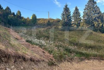 Teren de 5000 mp, în Tiha Bârgăului - 8