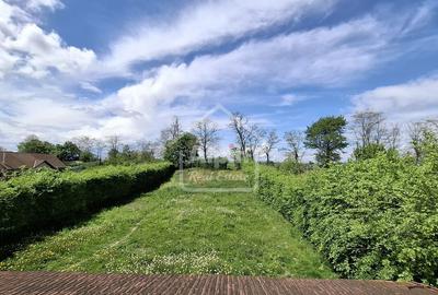 Duplex Zona Linistita Carpinis - 7