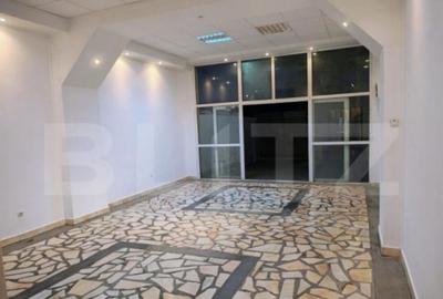 Spatiu Comercial Bd Ecaterina Teodoroiu - 2