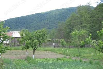 Casa de vacanta de vanzare - 3