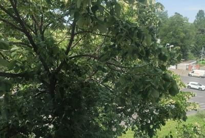 Apartament cu 2 camere semidecomandat, mobilat în Cotroceni - 6