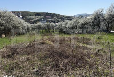 Spațiu comercial, în Crișeni - 1