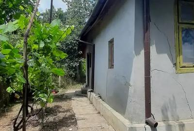 Casă cu 3 camere cu Teren 2640 Mp în Meri - 3