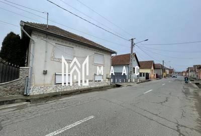 Casă I Teren de 4.500 mp I Anexe I Seica Mare - 2