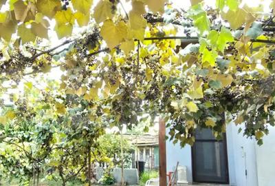 Casă cu 3 camere cu Teren 338 Mp în Nord - 10