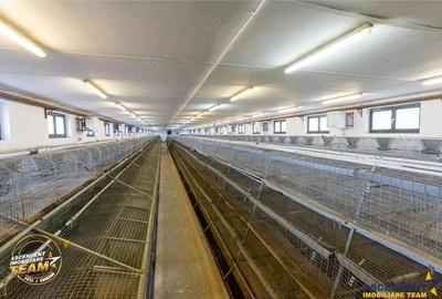 FILM! Ferma de iepuri,Malnas,Covasna: domeniu industrial comercial,asset UE - 20