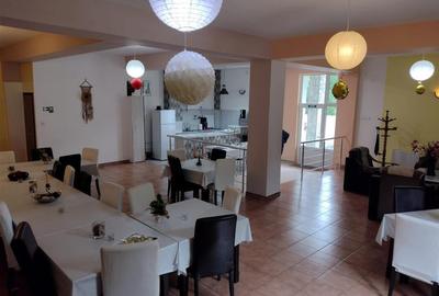 Pensiune in mijlocul naturii!! - 16