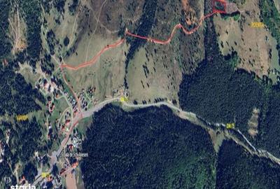 Teren de 5000 mp, în Arieșeni - 1