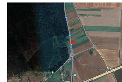 Teren Branesti 1016 mp - intre padure si A2 - Comision 0% - 5