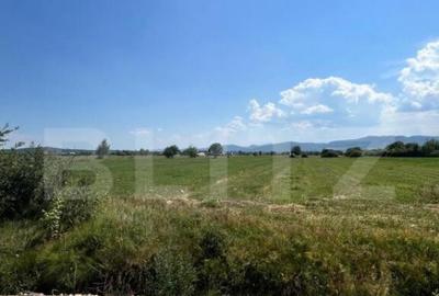 Oportunitate de investitie!! Teren extravilan,4000 mp, Vicov - 4