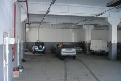 Proprietar - inchiriez hala productie/depozit Drumul intre Tarlale - Pallady - 2