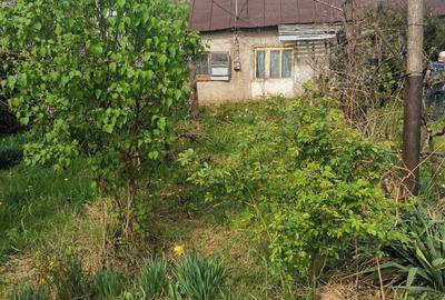 Casă cu Teren 1600 Mp în Dumbrăvești - 2