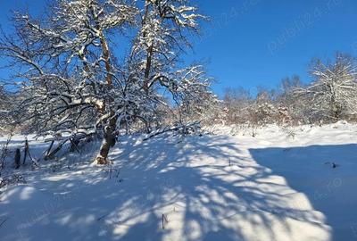 Vand teren intravilan Mustesti (com. Gurahont) - 1