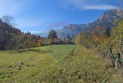 Teren de 1117 mp, în Zamora