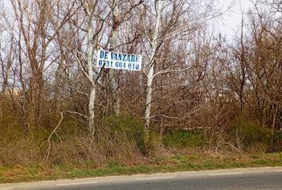 Teren intravilan 5.000 m² cu 40 m deschidere la DN2A – langa Kaufland Slobozia - 11
