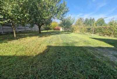 Vila  cu teren generos in Dumbravita-zona Lidl Vila  cu teren generos in Dumbravita-zona Lidl - 36