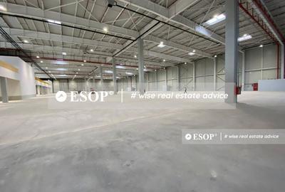 Spațiu comercial, de 3,000 mp, în Dragomirești-Deal - 6