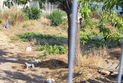 Teren de 489 mp, în Poarta Albă