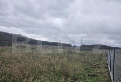 Teren intravilan, Dragutesti, 1184 mp - 1