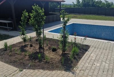 Proprietate deosebita, ocazie de investitie, Cosula, Botosani - 3