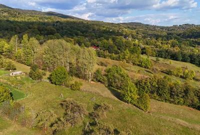 Vand teren in Corbeni, Arges - 8