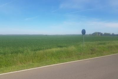 Teren intravilan arabil 55.400 m.p. Vasilati, Jud. Calarasi - 8