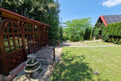 Casă cu 4 camere în Valea Unghiului - 3