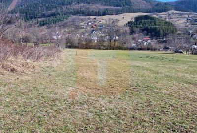 Teren intravilan de 4.000 mp în Bistrița – Alexandru cel Bun - 11