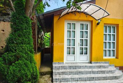 Cabana ta de vis #238;n inima naturii Padurea Neagra ... - 17