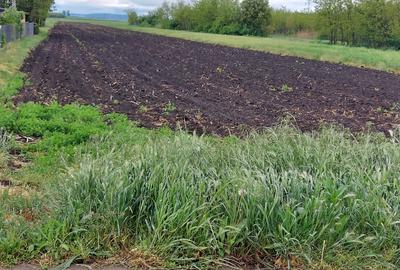 Teren agricol extravilan de 7500 mp, în Lețcani - 1