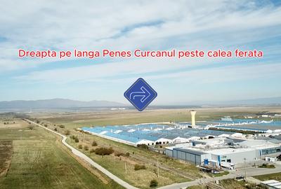 Parcele 1100 mp Pentru Microferme, Grădini Bio & Creșterea Animalelor - 3