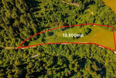 COMISION 0% Teren Bradet 7300 + 6000 mp/ Sacele /Intravilan - 1