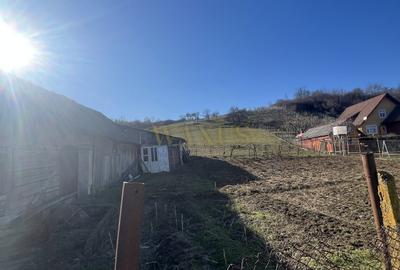 Teren Construcții de 5300 mp, în Centura - 3