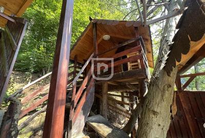 Casa/Cabana pe malul Lacului Bicaz, ciubarsauna - 6