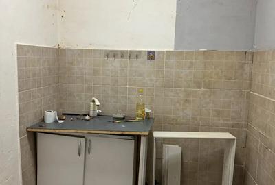 Apartament cu o camera (camera la camin) - 2 Graniceri - 4