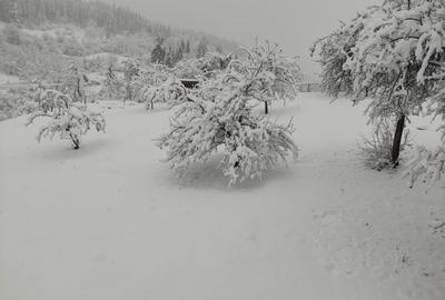 Casă cu 3 camere în Bradu - 3