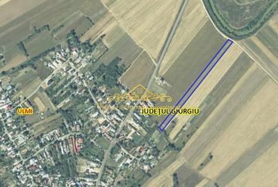 Teren de 7470 mp, în Trestieni - 4