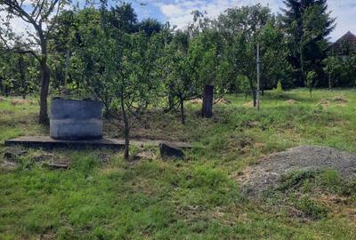 Casă cu 2 camere cu Teren 1600 Mp în Frunzeni - 10