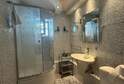 Agentia imobiliara VIGAFON inchiriaza apartament 2 camere Gheorghe Doja - 10