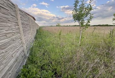 Teren Intravilan Becicherecu Mic ,776 mp,Fs. 17,5m - 3