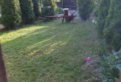 Casă cu 4 camere cu Teren 3400 Mp în Susag - 7