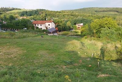 Teren de vanzare Valea Capriorii Cluj Feleacu - 1