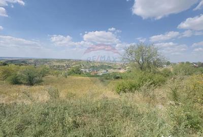 Teren de 6372 mp, în Paleu - 2