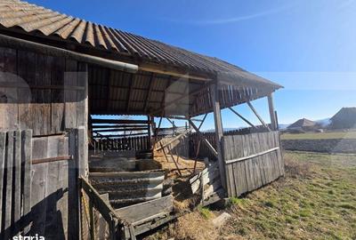 Casă cu 3 camere cu Teren 4669 Mp în Moacșa - 4