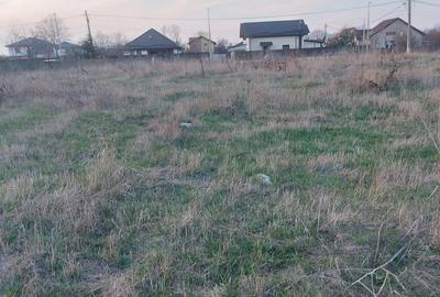 Teren intravilan Buftea - 5