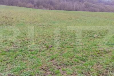 Teren în Central - 4