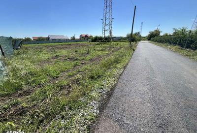 Teren de 999 mp, în Sinești - 5