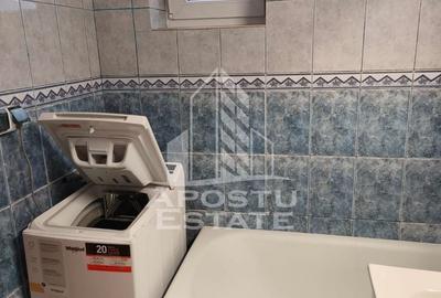 Apartament 2 camere,Pet Friendly,centrala proprie, zona Girocului - 10