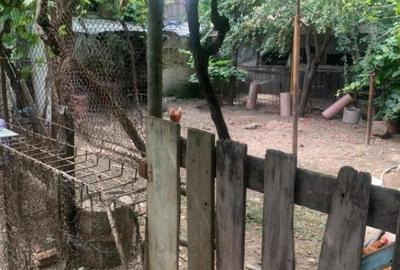 Teren 380 mp cu casa demolabila Chercea latime 17m ,132 eur Teren 380 mp cu casa demolabila Chercea latime 17m ,132 eur - 4